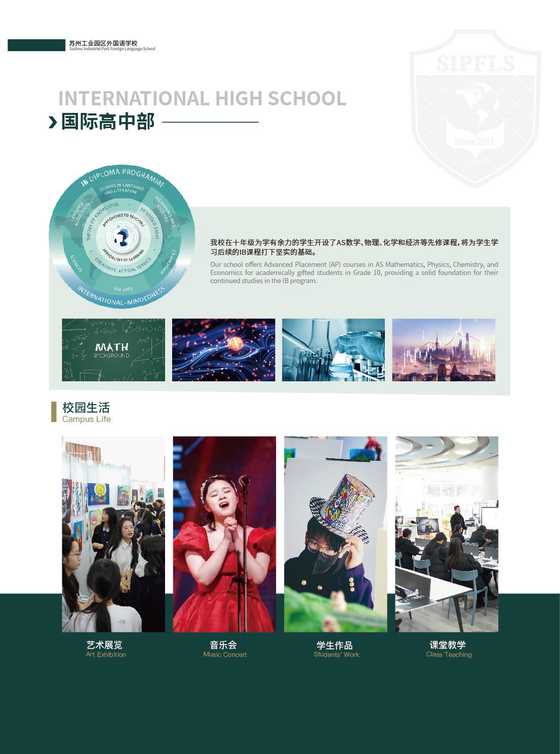 11.27单页（国际高中-ib）_画板7.jpg