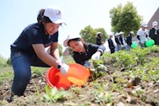 返璞归真，尽享田园诗情——记国际小学部三至六年级养活教育（牧谷）基地实践活动