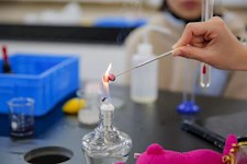 《我们的食物里到底有什么？——园外初中部生物选修课侧记》