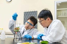 “劳”有所获，“综”有所得 | 学科融合再探索，养活教育新体验