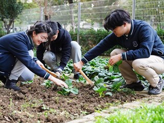 走进园外