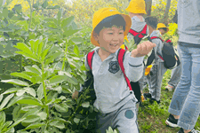 成长在“研”途，行知在自然｜园外各学部社会实践活动合辑